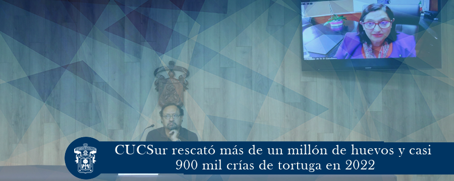 CUCSur rescató más de un millón de huevos y casi 900 mil crías de tortuga en 2022