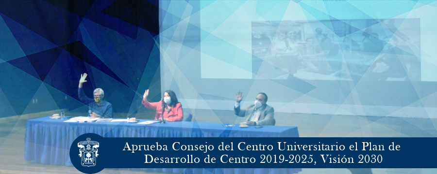 Aprueba Plan de Desarrollo de Centro 2019-2025, Visión 2030