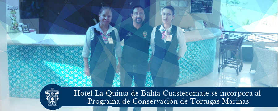 Nuevo Grupo se Incorpora a la Conservación de Tortugas Marinas