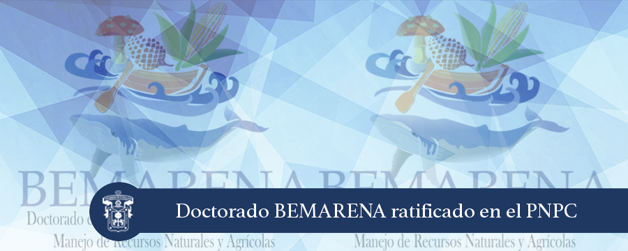 Banner: Ratificación BEMARENA