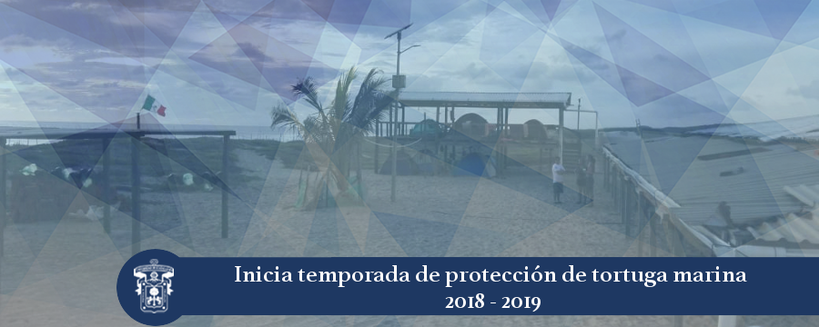 Banner: Campamento tortuguero