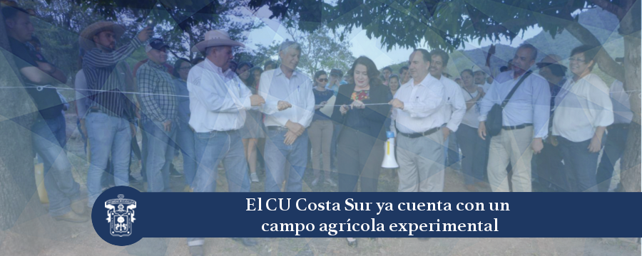 Banner: campo agrícola experimental