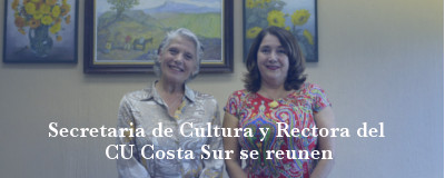 Banner: Reunión con secretaria de cultura