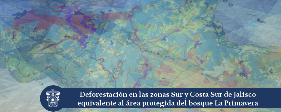 Banner: Nota deforestación