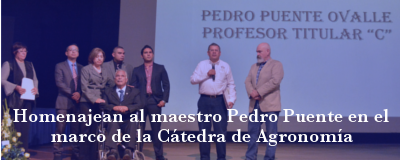 Banner: Homenaje al maestro Pedro Puente Ovalle