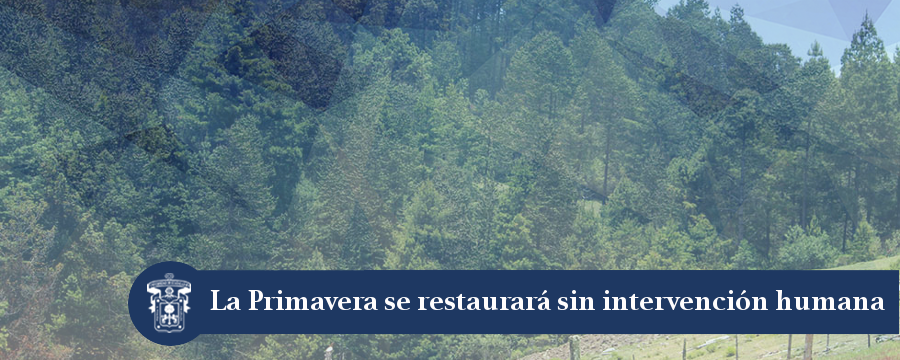 Banner: La Primavera