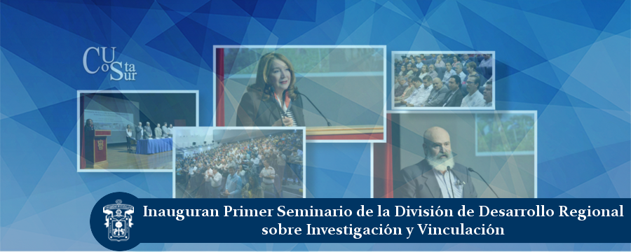 Banner: Primer Seminario de la DDR