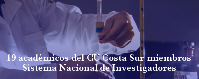 Nota: SNI's CU Costa Sur