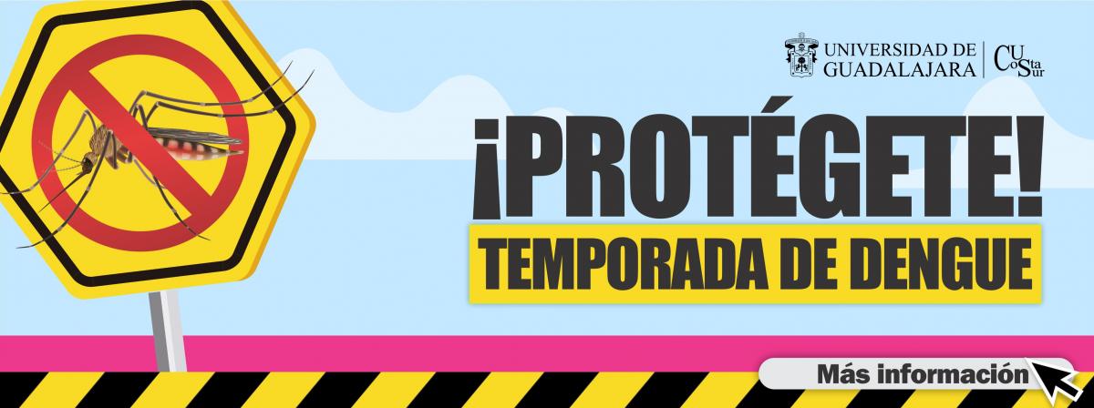 Temporada de dengue