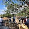 Productores agroforestales de la cuenca baja del Río Ayuquila comparten experiencias con homólogos de Altos Norte