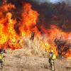 Nota: Incendios en Jalisco